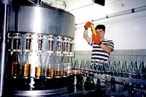 1996 gründete Werner Sell mit seinem Sohn Torsten Sell das Unternehmen in seiner heute bestandhaften Form; die Süßmost- und Weinkelterei Sell GmbH